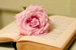 old-book-pink-rose2-1